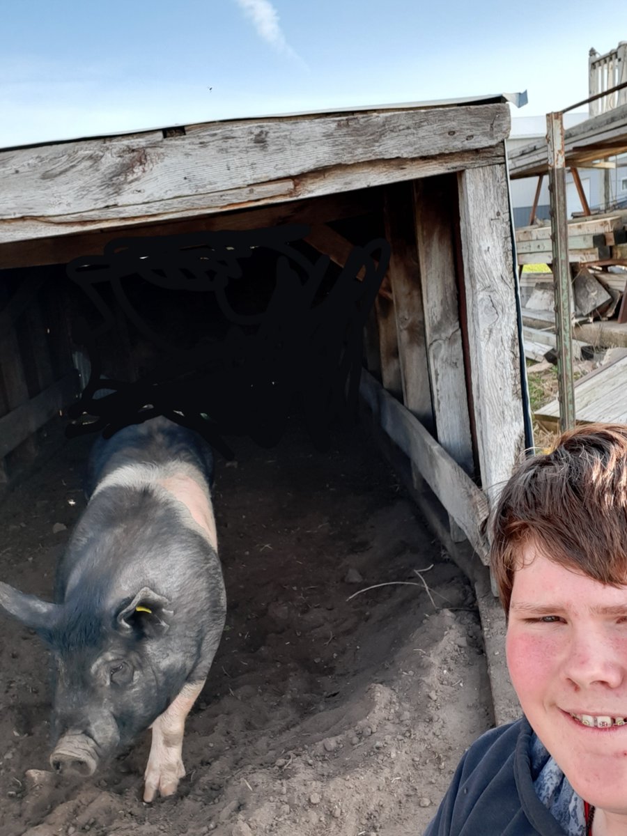 Charles City FFA tweet media