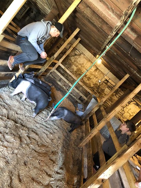 Charles City FFA tweet media