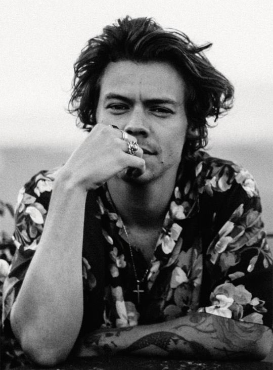 harry styles as characters from outer banks : a thread
