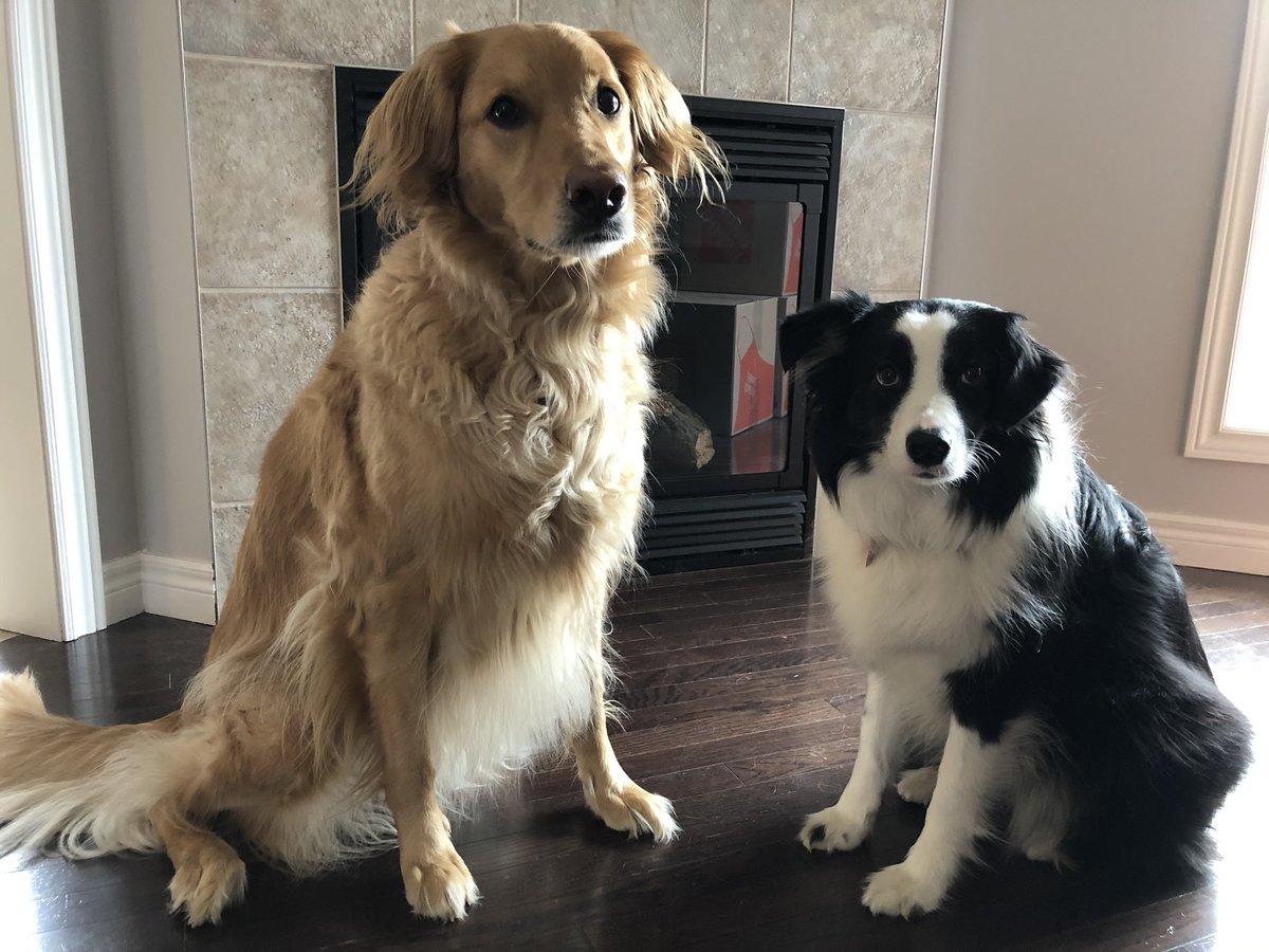 David Brigstocke tweet media