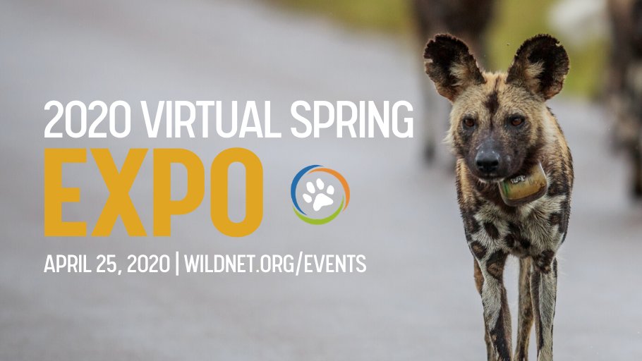 wildnetorg's tweet photo. Join us tomorrow as we bring heroic and inspiring conservationists from all around the world into your living room at our very first Virtual Wildlife Conservation Expo! Register for free at https://t.co/APeOwTqFTm - it's an event you won't want to miss. https://t.co/EQt2qcWnwH