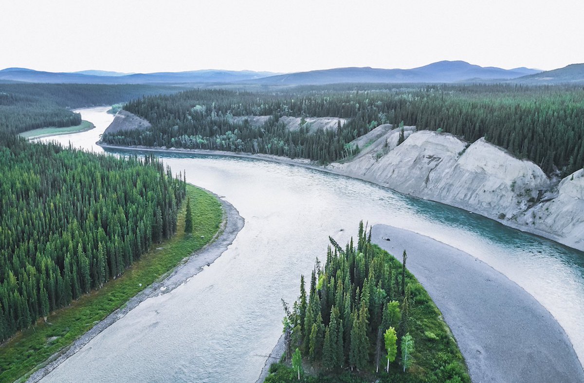 Help raise awareness about critical environmental issues facing our planet and inspire action. Host a #virtual film screening of 'Our Planet: Our Business' with your workplace! <a href="/WWFCanada/">WWF-Canada</a> <a href="/WWF_at_Work/">Living Planet @ Work</a> ow.ly/j2Ag50zo2Zh