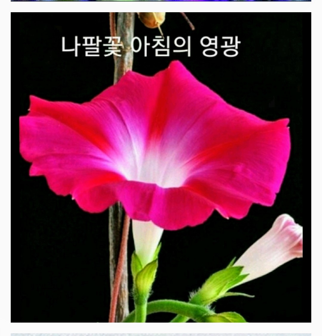 상대방을 칭찬하는
댓글을 올리는 운동어떠세요.
미운사람 떡하나
더준다는 말 기억하며?!
아무래도 어렵겠지요?