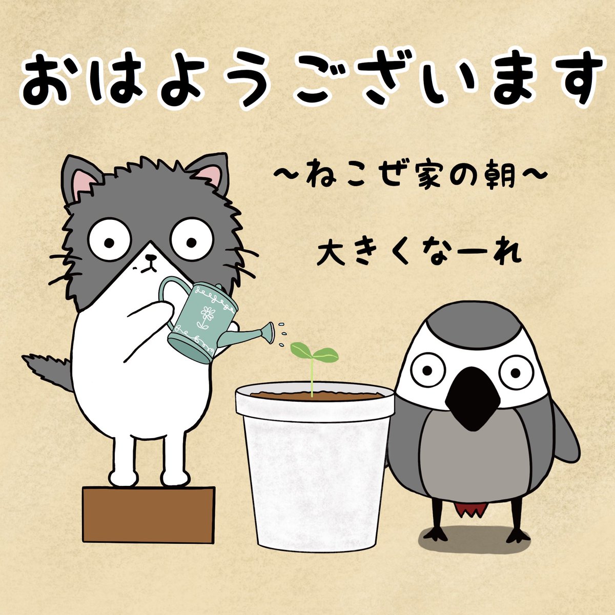 Kokemaru おはようございます 朝活 おはよう 猫 ヨウム イラスト ねこぜ家 ねこぜや