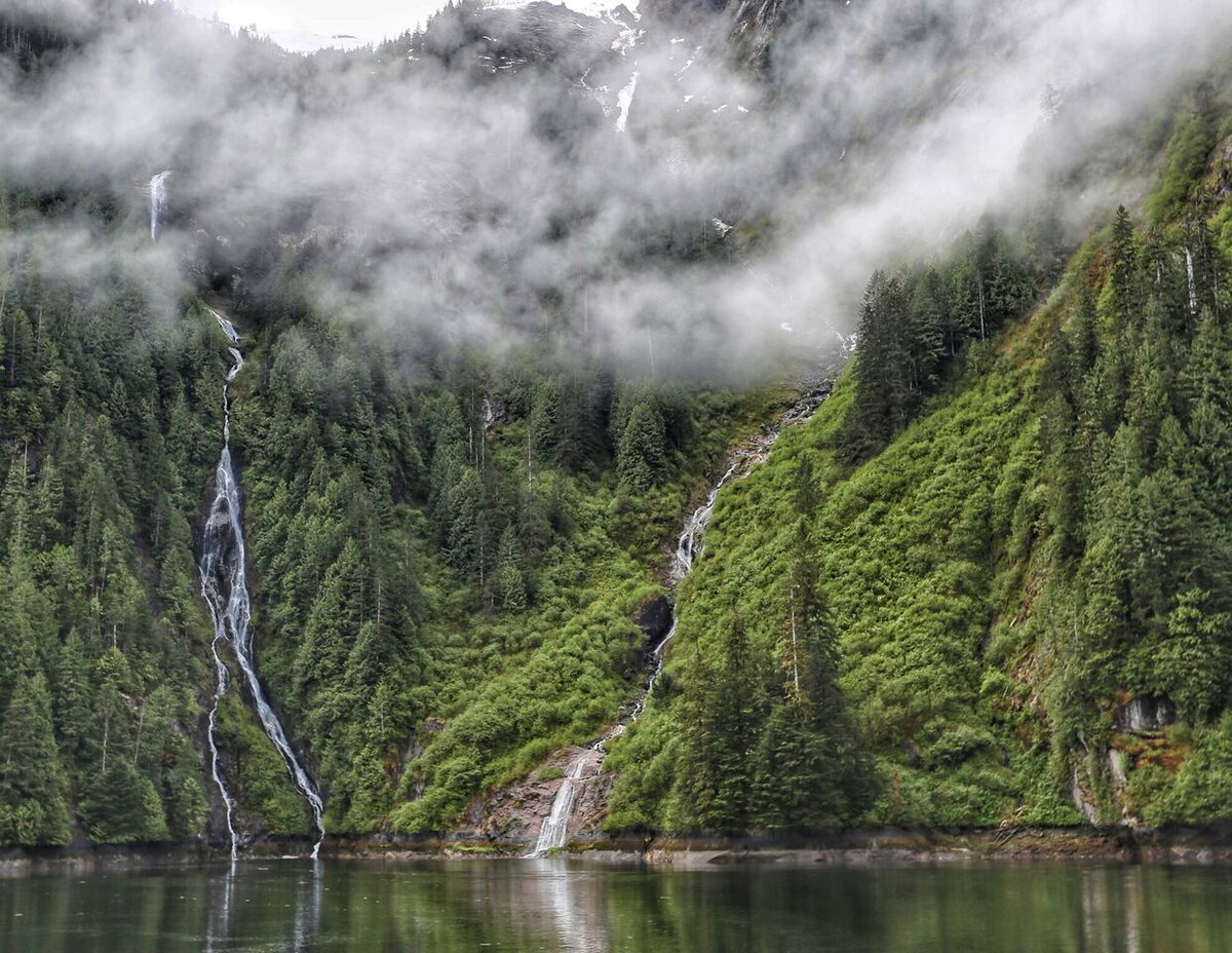 AKDreamCruises's tweet photo. Did you know Southeast Alaska is home to the largest rain forest in America? @TongassNF is home to over 17 million acres of these lush and wild green lands, covering 90 percent of the panhandle. Learn more here: https://t.co/uKzjuyid7x. #TrueAlaska https://t.co/XAuP7BCgkw