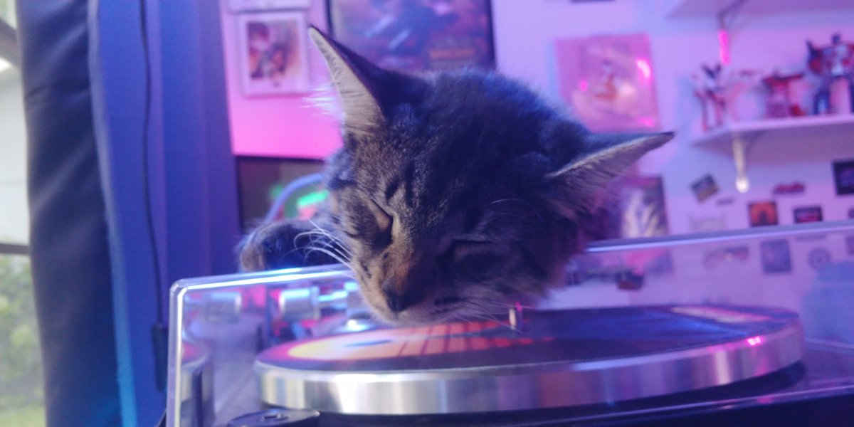 kimbonater's tweet photo. Guess I'm not listening to any records for awhile...
Midnight is taking a cat-nap on the dust cover!
#petsinquarantine https://t.co/kxcG58WSrn