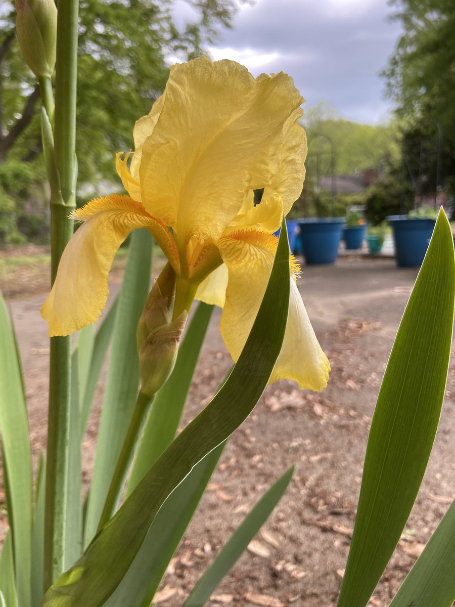 Robin Latchford tweet media