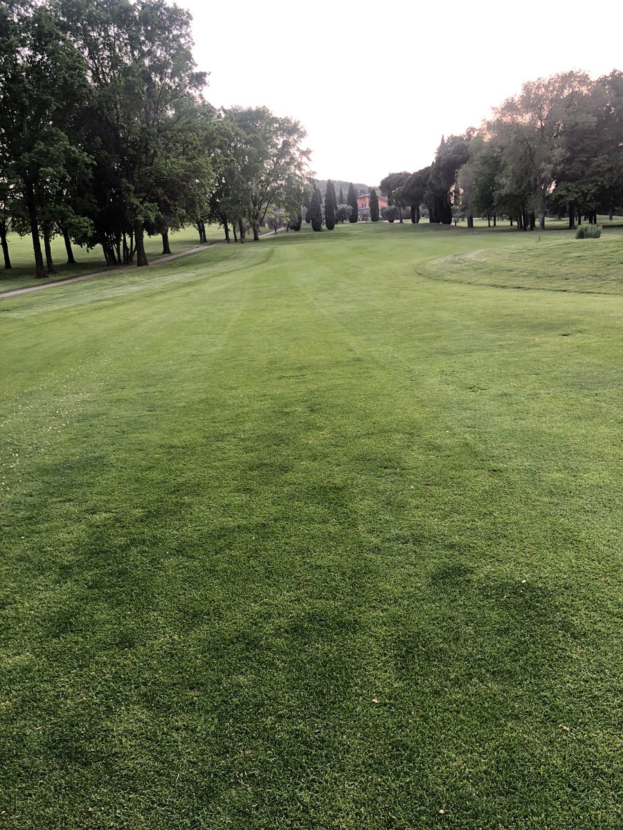 VentoLoris's tweet image. 