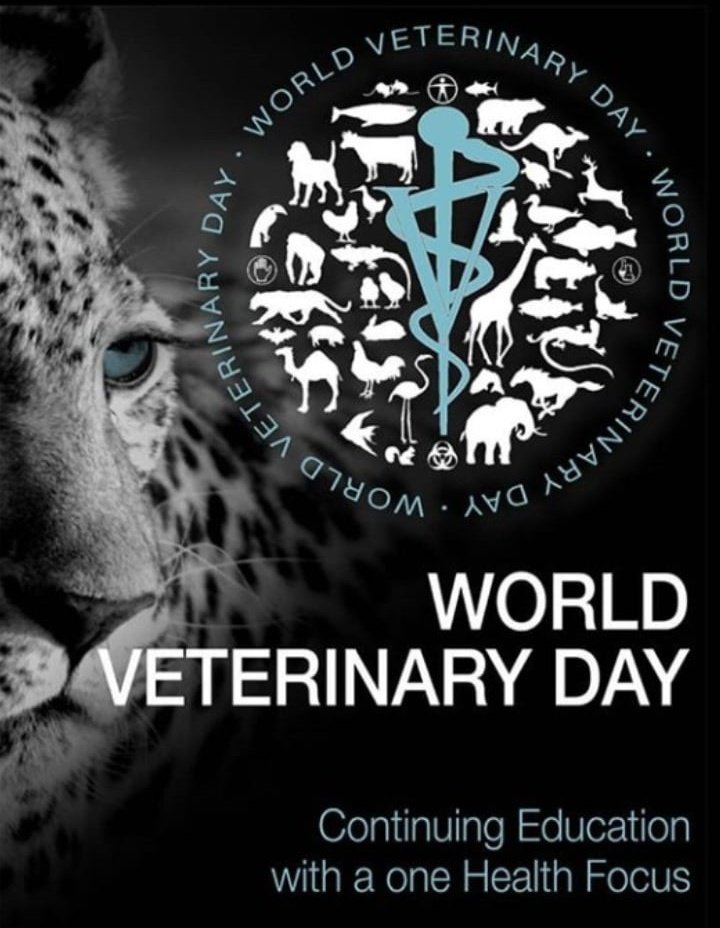 #worldveterinaryday2020NG