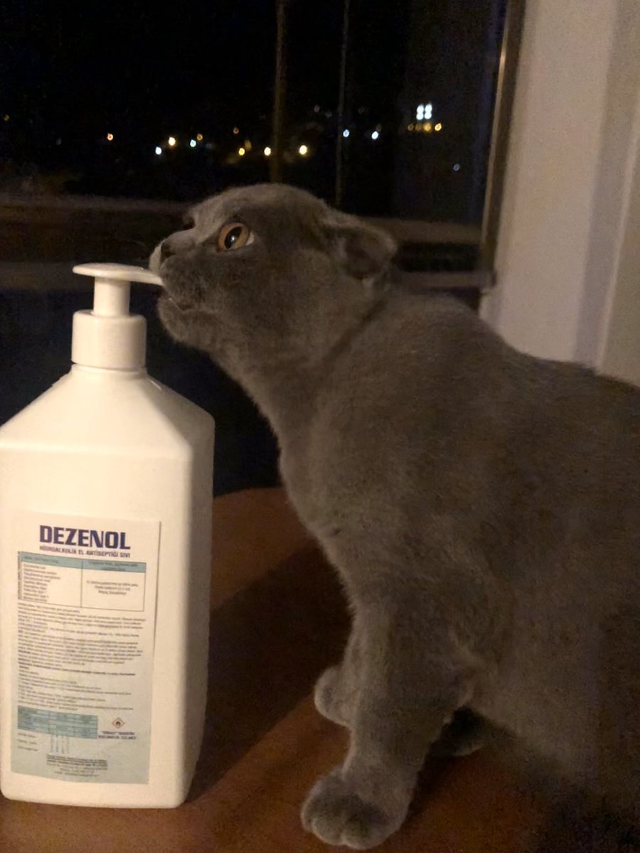 nsyhn's tweet photo. Hayir oglum o icilmez dinleme su Trump idiotunu  #DontDrinkBleach https://t.co/Pcfo4cBmuU