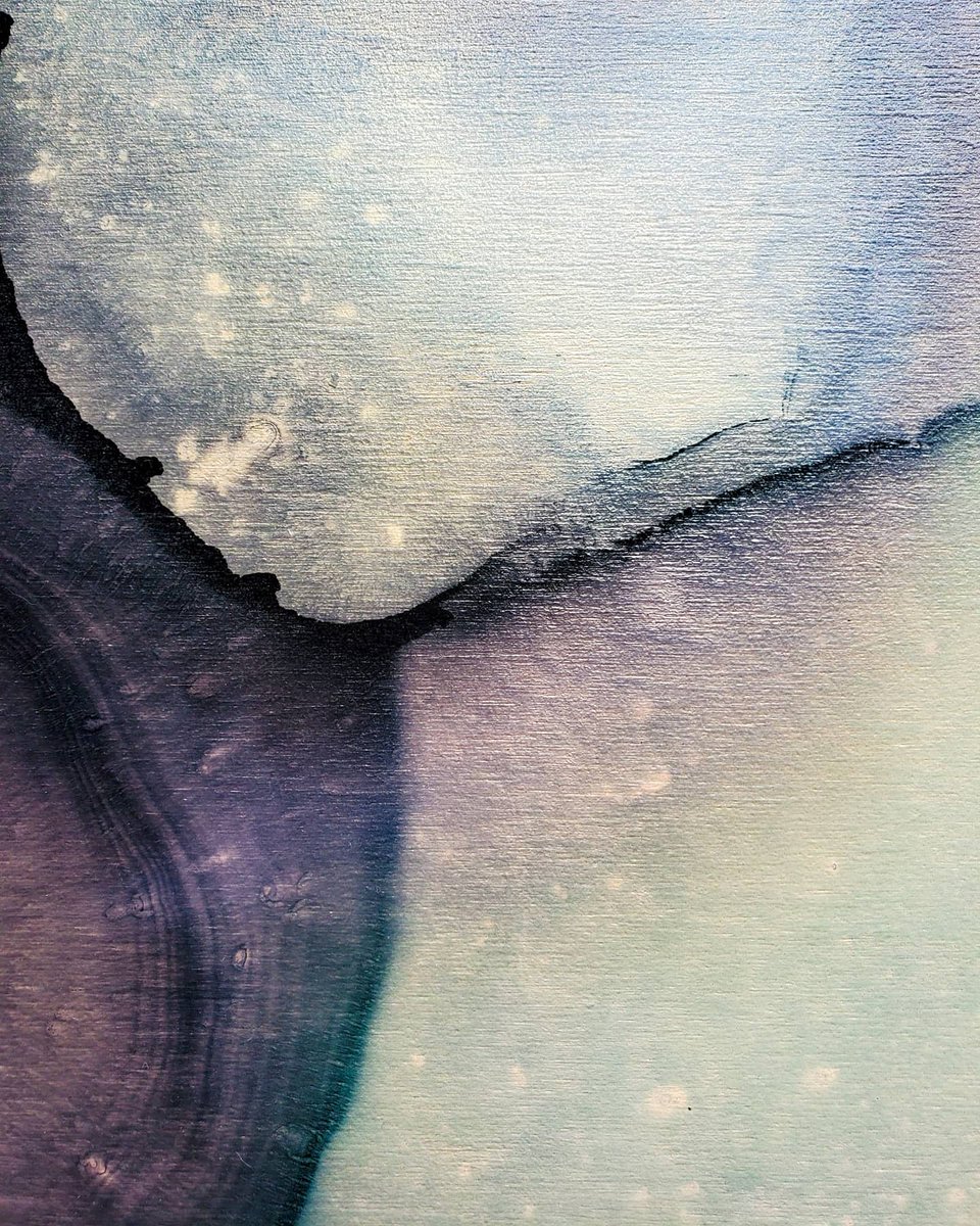 MainaArts's tweet photo. unˈtāmd (untamed)
She is a wild, tangled jungle
With no intention of unraveling.
- Emily Minor | MAINĀ

Available
18in x 24in
Ink on wood panel
$600 CAD
Payment plan options worldwide
https://t.co/kJwQHp9y4e
#FluidArt @FluidPainting https://t.co/ut6zL8CIQh