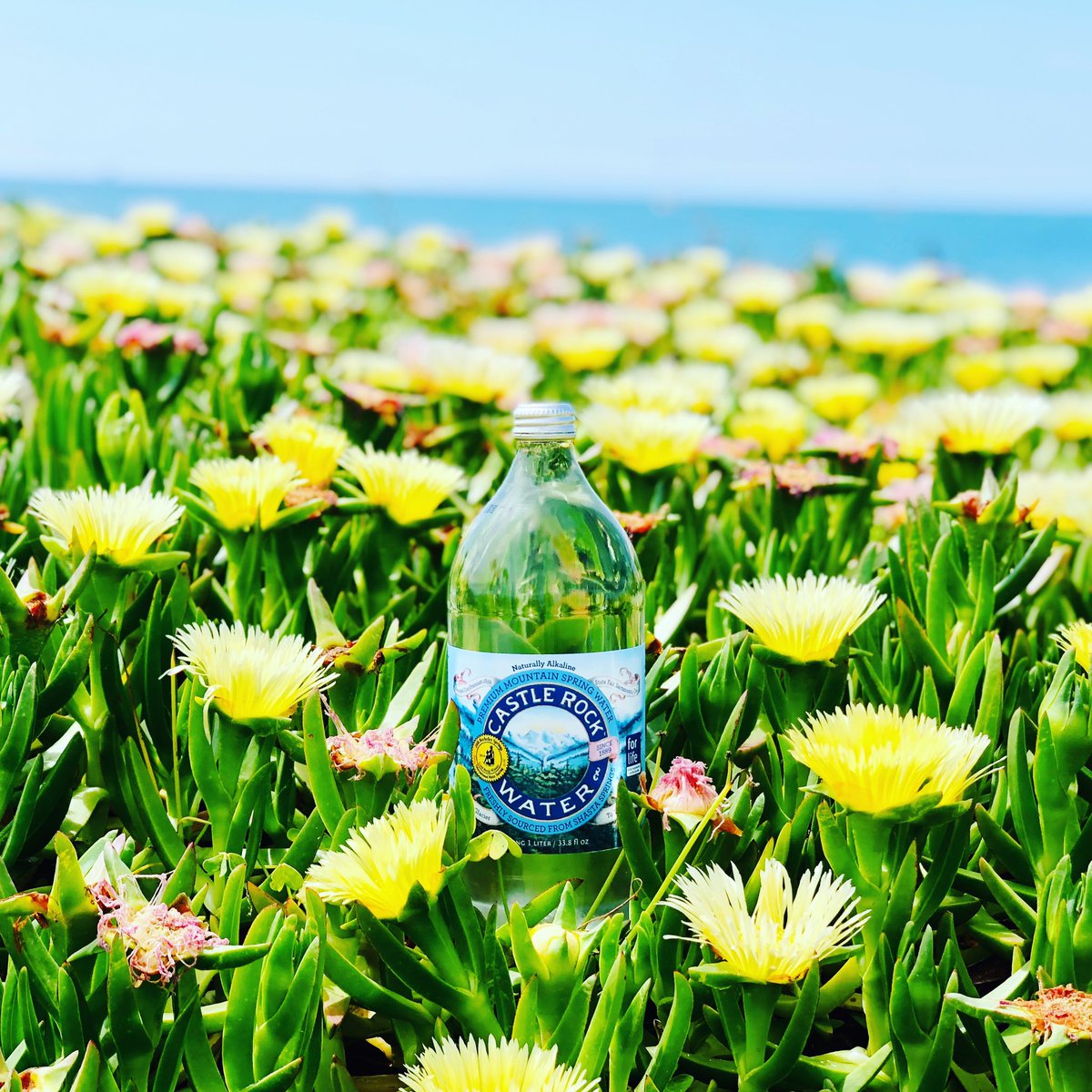 Castle Rock Water tweet media