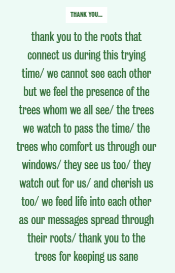 EarthEthicsCtr's tweet photo. Thank You, Trees... #ThankYouTree #EarthStanzas
https://t.co/n82v7I8osG @EarthDayNetwork #ArtistsForTheEarth #EarthDay2020 #ArborDay #poetsforscience @WickPoetry #ListentotheChildren #poeticvoice #poetry https://t.co/A647bzkG8M