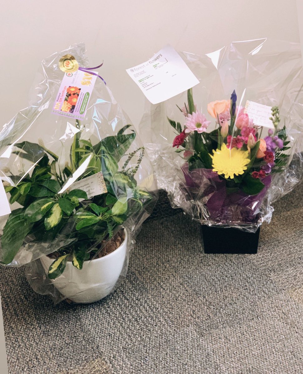 Celebrating 10 years with BMO 🤩

Thank you to my BMO family and my fam family for the breathtaking flowers, for the beautifully written words in my card and for making my day so special! 💙
#proudtoworkatbmo #bmo #proud #workanniversary #10years #decade #bestteam