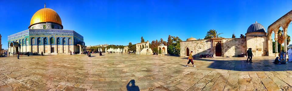 ���� ���� ������ �� ���� ������