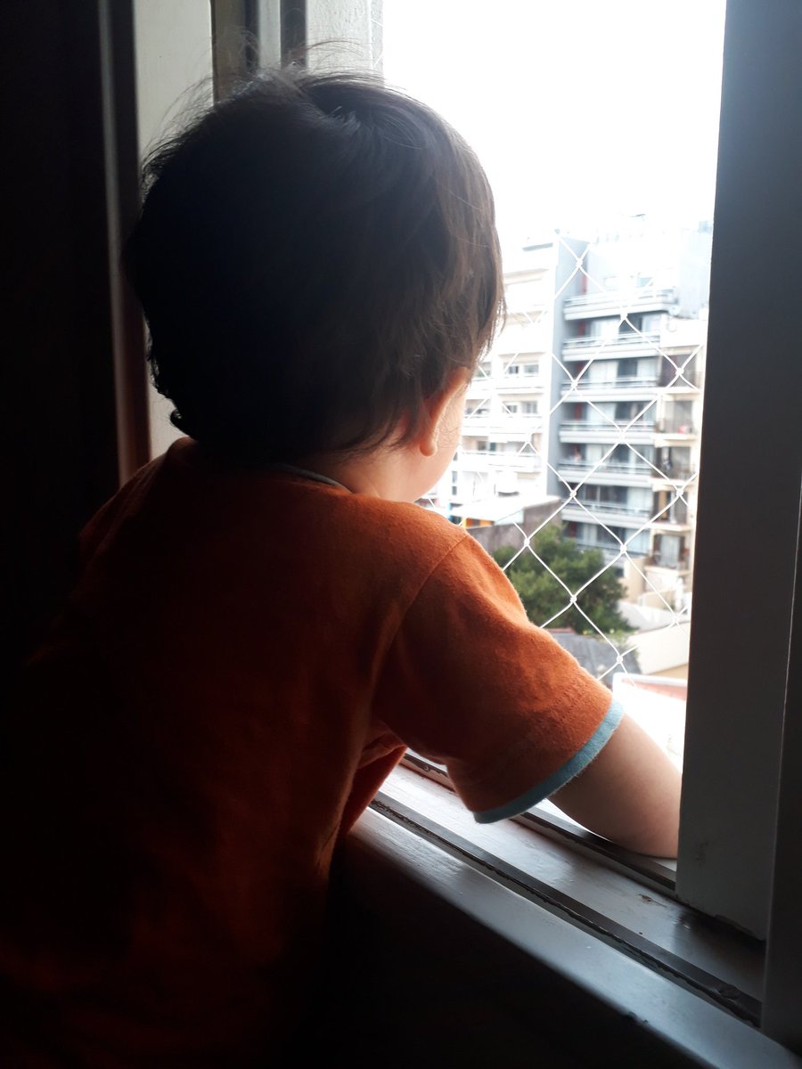 naranjas's tweet photo. @alferdez soy Bruno, tengo un año y medio. Acá con mi familia en CABA estamos bancando el aislamiento preventivo a full pero necesito tomar sol y ver a mi amigo aunque sea un ratito. Te vas a acordar de mí? https://t.co/cF6LAXcHl7
