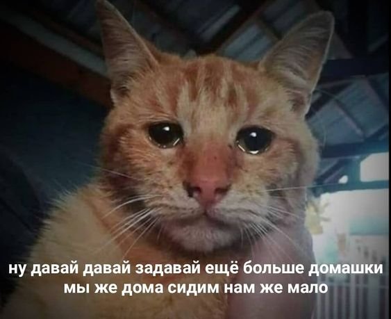 Ririchio6's tweet photo. последнее селфи/ последний мем https://t.co/drbg0LiYbI