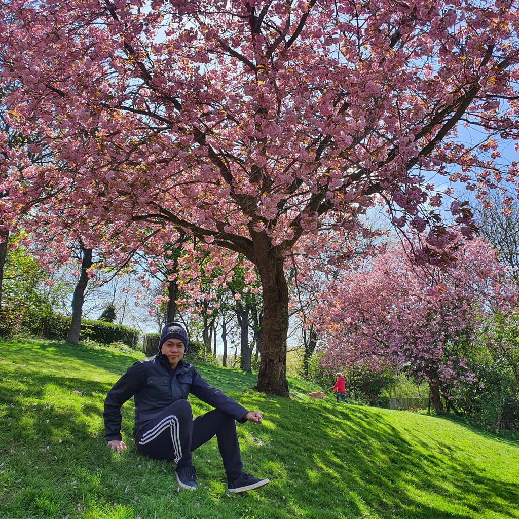 leksandr31's tweet photo. The color of spring... the color of hope...
#southshields #westpark #spring #springtime #cherryblossom #nofilter #igers #instagram #instagood #phonephotography https://t.co/aSYAe4SJUj