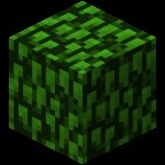 текстура блока. блок листвы. блок без фона. блок листвы из майнкрафта. листья из майнкрафта.