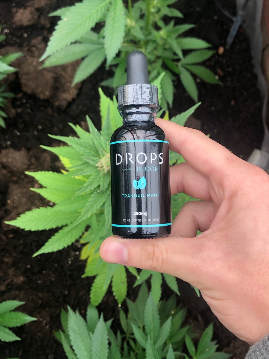 MINGOCBD's tweet photo. Grow into something healthy with CBD.
___________________________________________
 RETWEET our post to enter yourself into our weekly give-a-way!   Choosing 1 winner every Sunday at 12am PST.   https://t.co/anLmV4MaPc  #CBD #CBDGiveaway https://t.co/YdTDJDK84v