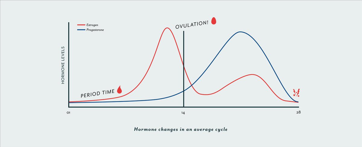These charts show estrogen and progesterone levels throughout the menstrual cycle. Notice how the levels are increased and dynamic in a normal cycle, vs decreased and static in the birth control cycle.