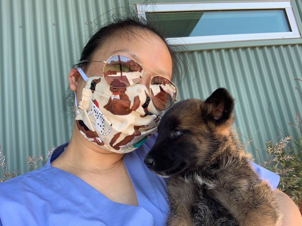 hssv's tweet image. For our last post of #NationalVolunteerAppreciationWeek, we want to give a huge shout out to a special crew of volunteers who made masks for our staff!

Thank you to all our volunteers who go above and beyond to help us save and enhance lives. We couldn't do what we do with you!