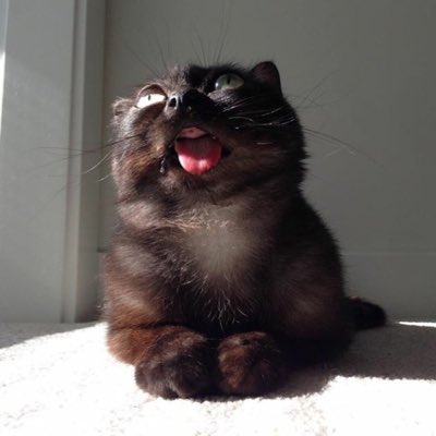 HopediedieCS's tweet photo. #НовыйАватар https://t.co/iuRdCz3l0z