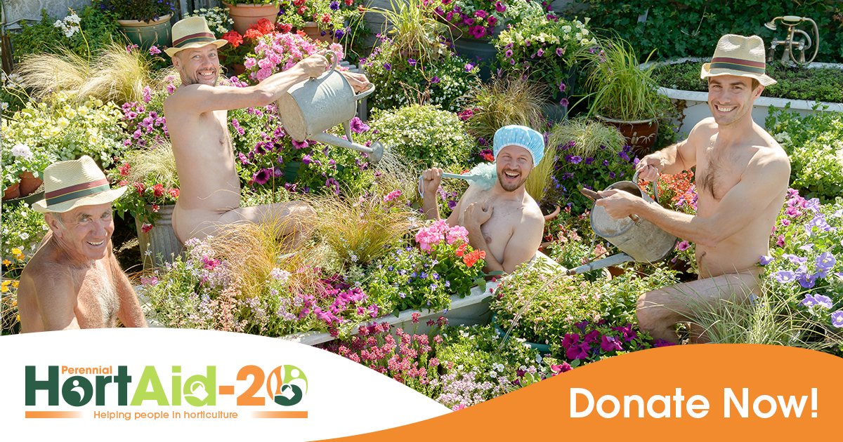 Today is #WorldNakedGardeningDay! 🙈Help raise awareness and funds for Perennial by tagging us in your (tasteful!) photos and donating to our #HortAid20 campaign, helping to support people in horticulture through the #COVID19 pandemic and beyond: 
justgiving.com/campaign/horta… #WNGD