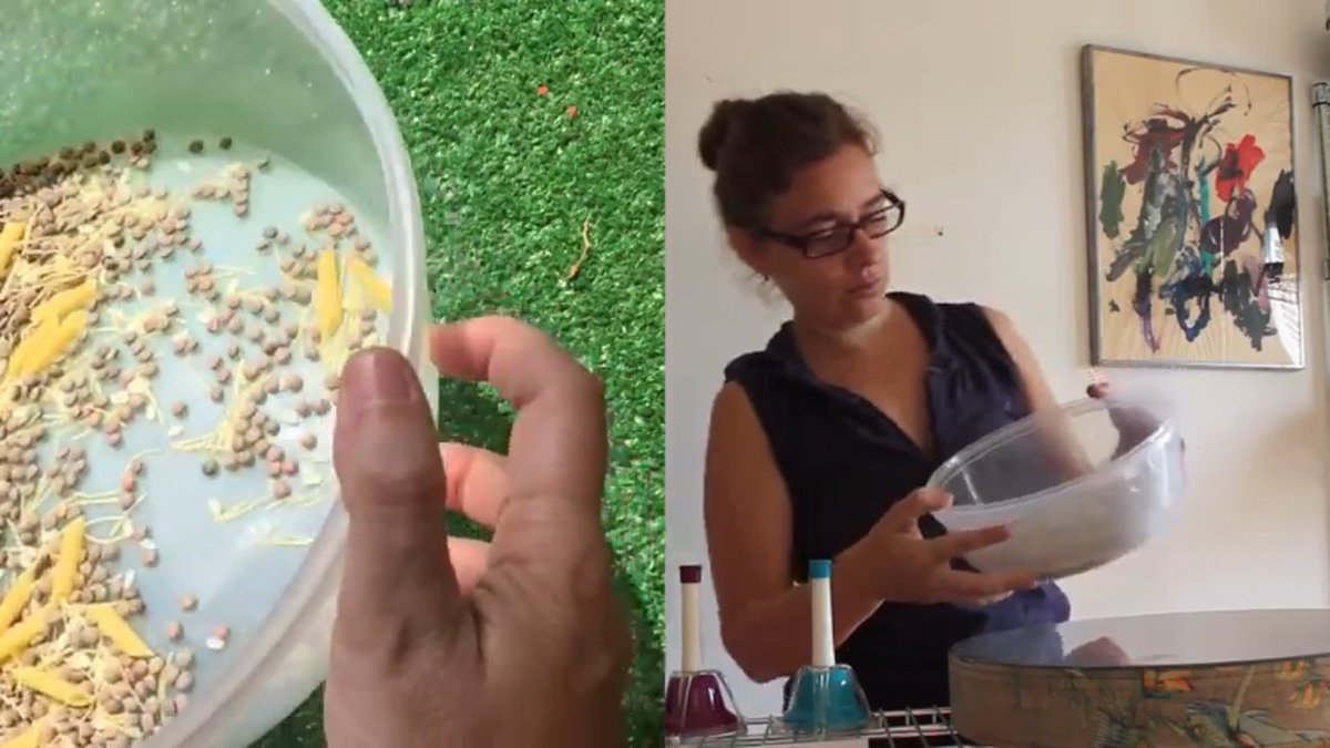 ARTransforma (@artransforma) on Twitter photo Si ho proves de fer a casa, ens encantarà que ens ho fagis saber amb algun vídeo o foto 🎶 ▶️youtu.be/Dch2zK2kD48 info@artransforma.org Si ho proves de fer a casa, ens encantarà que ens ho fagis saber amb algun vídeo o foto 🎶 ▶️youtu.be/Dch2zK2kD48 info@artransforma.org