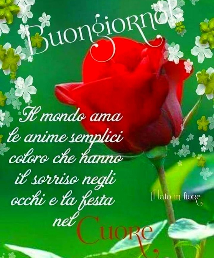 MiniatiMeri's tweet photo. Quello che fai ti ritorna!
Mantieni il tuo cerchio positivo
dissemina buone azioni..... Karma
#BuongiornoATutti☕ #BuonaVita #mattino #speranza🙏 #amoresempre ❤
🌈🦋🌻🍒❣❤💋🍏🌈🍀🍃🦋🌻🎀💐💐 https://t.co/RDufMrJEdq