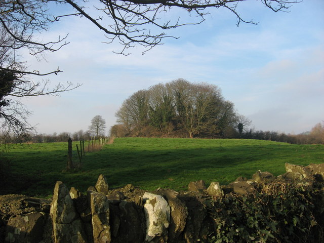 lorraineelizab6's tweet photo. 2 May: St Nechtan of Cell Uinche (perhaps #Killanny, Co #Louth). Son of Líamain; Patrick's nephew & foster-son (@PeritiaEditors). St Patrick mentions only his father & grandfather! Killany's patron saint St Ultan. St Ultan's holy well & remains of a friary. Motte📷 there too. https://t.co/QktYvVZYks