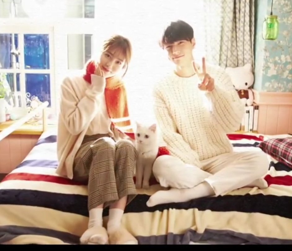 natalinkaigot7's tweet image. Мои любимые котики 😍😍😍
#добропожаловать