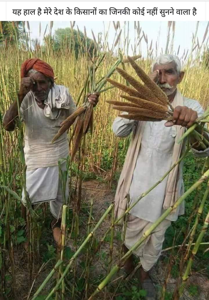 Mahavee33550012's tweet photo. #कृषि_पर्यवेक्षक_joining
Pls joining agriculture supervisor 2018 https://t.co/ykir8OVK6X