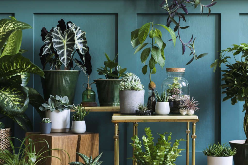 Have you been taking up a new hobby whilst at home? @MrsFlipper1001 gives her take on indoor gardening, via <a href="/MotabilityOps/">Motability Operations</a> : buff.ly/2xojfOr

#indoorgardening #gardening #hobbies #lockdown #StayHomeStaySafe
