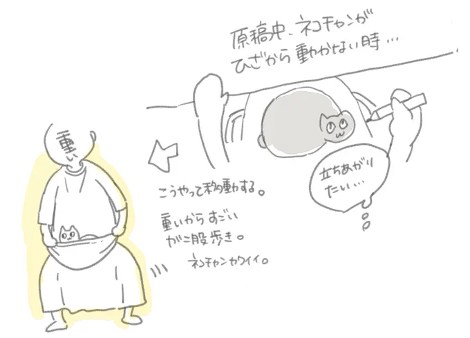 ネコチャン 