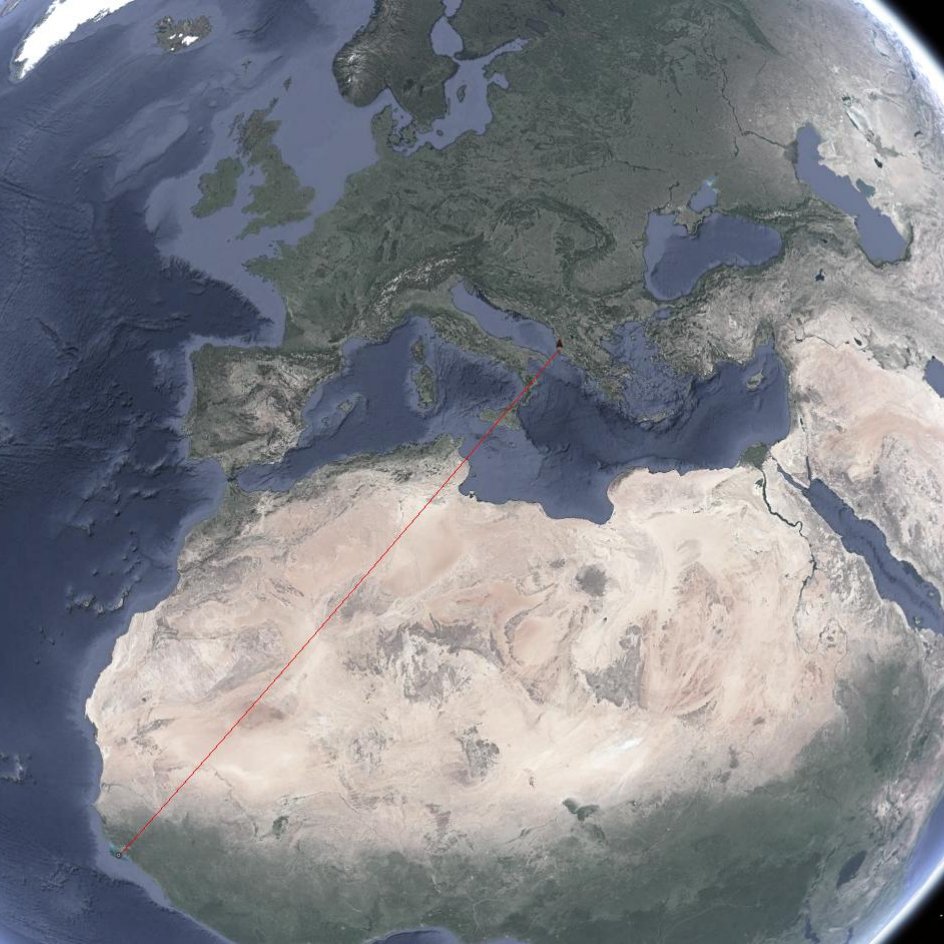 afonso_dr_rocha's tweet photo. While many #shorebirds are already breeding across Europe, others are now in #migration northwards, to the arctic. This Curlew sandpiper was spotted yesterday in Albania, 4750km from the #bijagós where it was ringed. @CESAM_Univ @eco_flyway @MavaFdn @GlobalFlyway https://t.co/cngWS8phr7