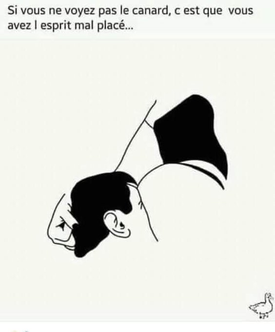 #ConfinementJour47 https://t.co/dKMMryCCBb<a href="/tag/confinementjour47"class="tags">#ConfinementJour47</a>