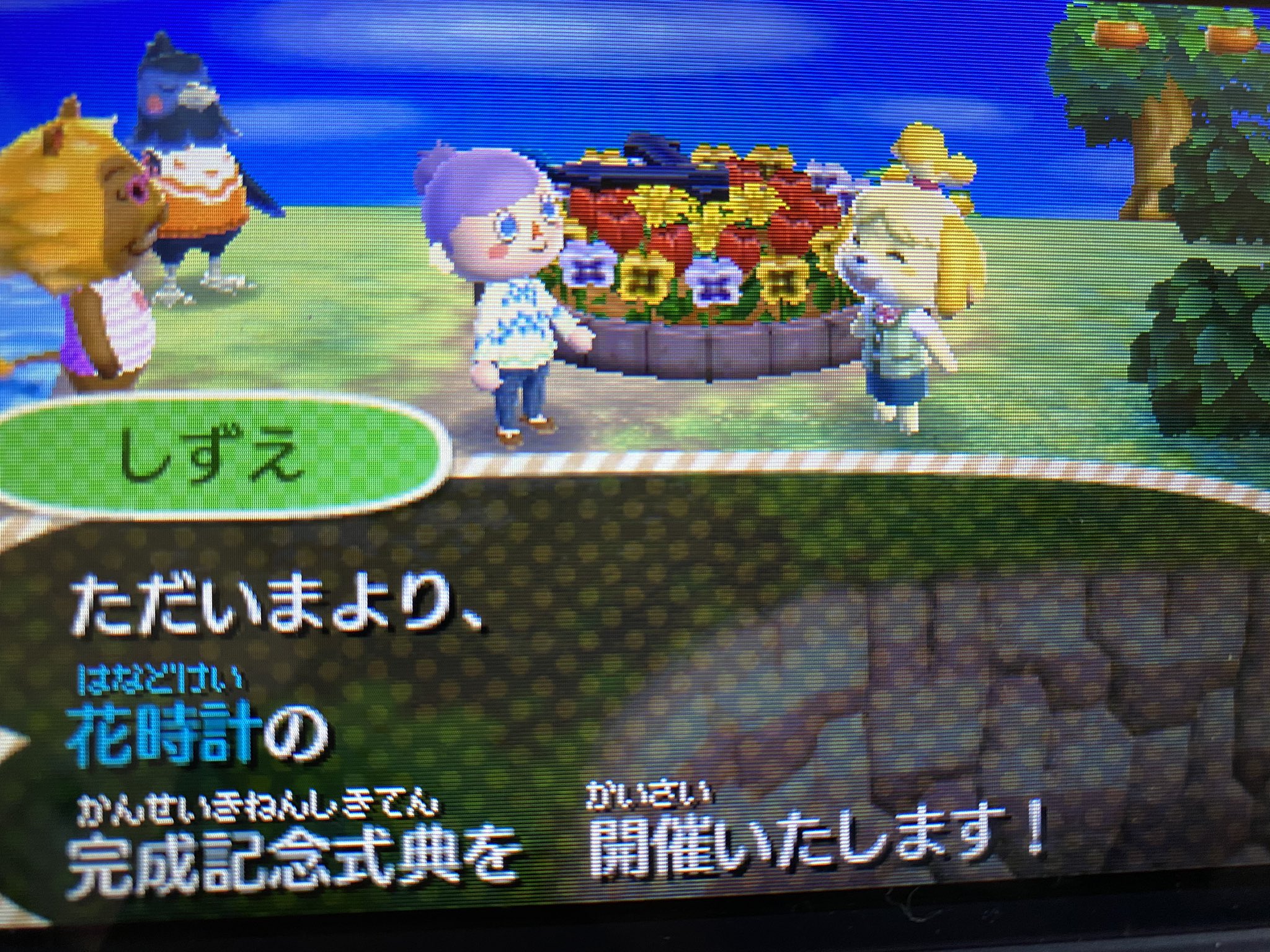 تويتر A على تويتر とび森 花時計 嬉しいです T Co Fan4c38rvv