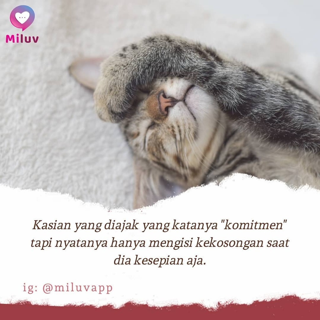 miluvapp's tweet photo. Jangan gampang percaya ya guys, diberikan bukti keseriusan lebih baik daripada hanya diberikan harapan..
.
#miluvapp #satukancinta #sayang #cinta #pasangan #baper #birojodoh #jodoh #kejujuran #ketulusan #cintatanpasyarat #pertemuan #perpisahan https://t.co/DmumNZ4qkk https://t.co/HRqByWZvIA