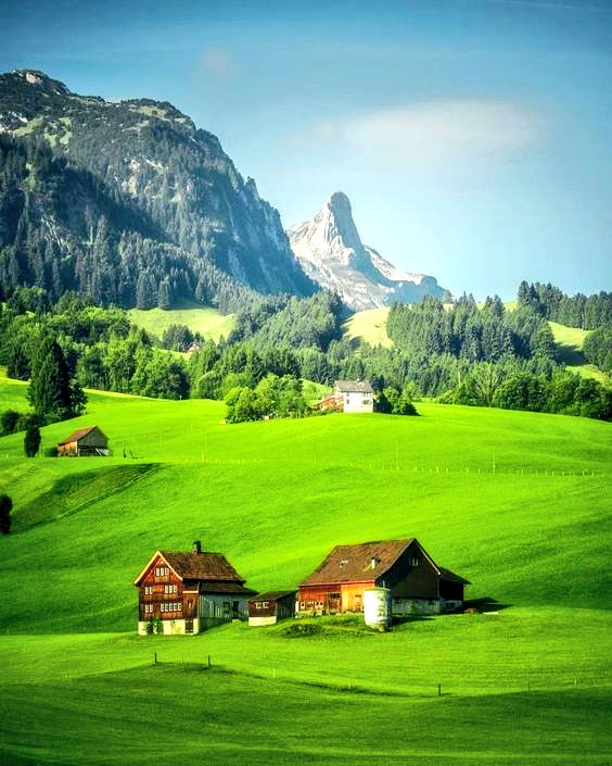 torarelaxtime's tweet photo. Thank you for empathy and sharing this tweet. I was encouraged by your kind words. I would like to express my heartfelt gratitude for your kindness.
I wish you a happy weekend and a blessed May.
#AppreciationPost
#LoveyouAll
#HappyMay
#BlessedMay
#MyBirthdayMonth https://t.co/cfTWXTfyJa
