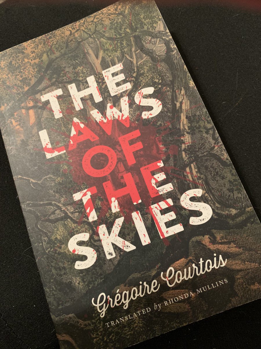 SALancaster's tweet image. Yo. I am just saying... this book is nuts. So good. But, literally, terrifying. #thelawsoftheskies #gregoirecourtois