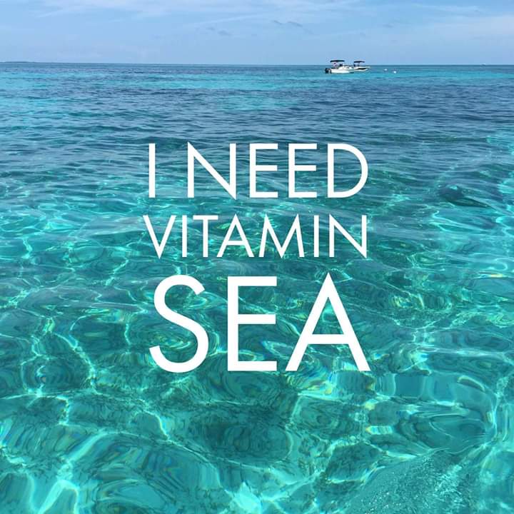 Vaneshafdo's tweet photo. Who else is waiting to have Vitamin SEA like meeee???🙋
#Missitsobadlyy💔 #Seaholic 🌊 https://t.co/TfUcDMFAlj
