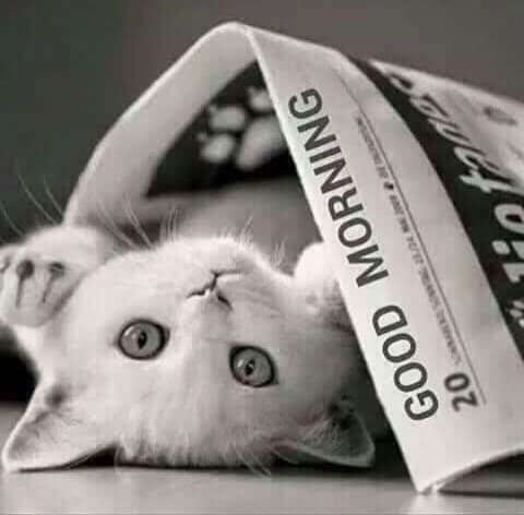 rautarchanared1's tweet photo. #GOOD_MORNING_Tweeples...😊
Without being Happy within, we can never be stable and satisfied..
The purpose of the soul is Truth; the purpose of our life is Love;
and the purpose of this universe is Compassion.
#Beautiful day to all. https://t.co/mqaYq1LUPh