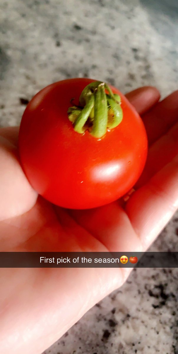 LiAna_Enriquez's tweet image. This is about the extent of “excitement” these days! #QuarantineFun #homegrown