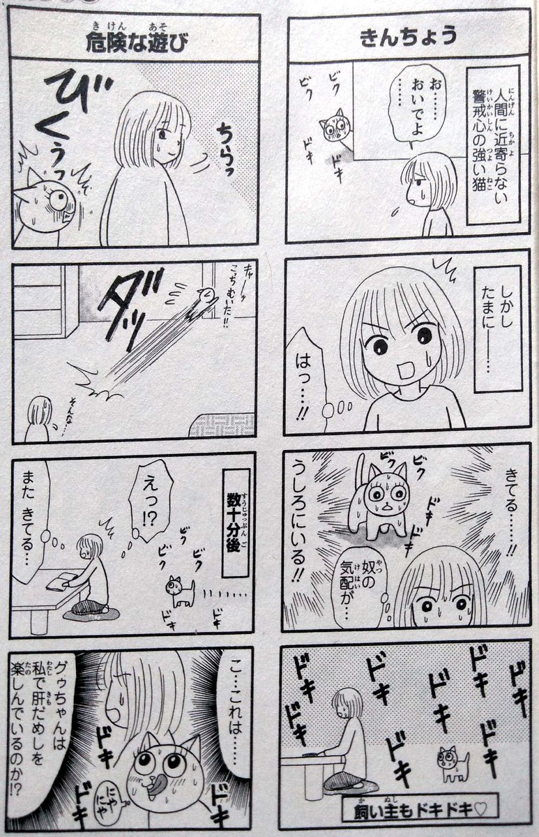 イワオ めしねこ 2巻発売中 Iwao Meshineko さんの漫画 58作目 ツイコミ 仮