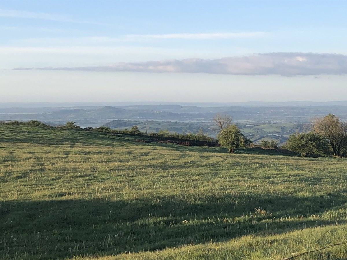 King's Bruton CCF tweet media