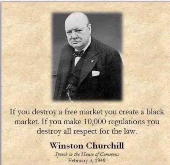 willendley's tweet photo. This statement by Winston Churchill says it all! We are now in a Level Four and “three quarters” pandemic lockdown in South Africa. It is high time that our Ministers wake up and get back in touch with reality. https://t.co/MDdc8c4ouq