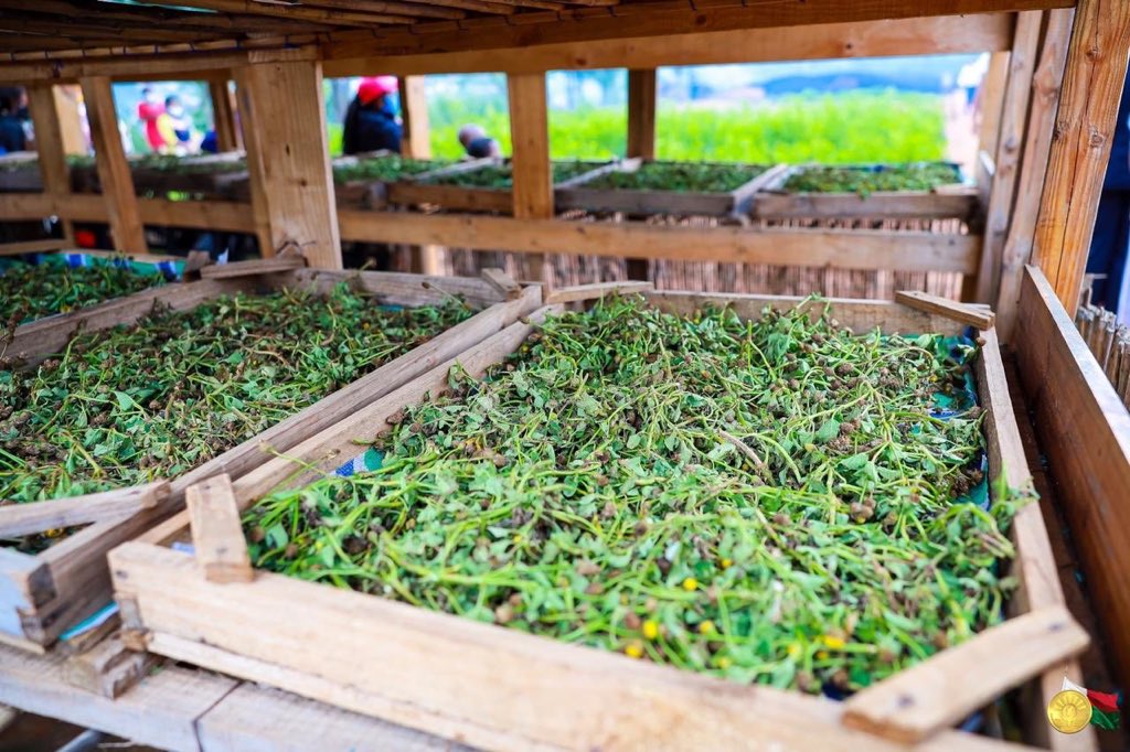 AdvoBarryRoux's tweet image. Pray for the safety of the Congolese Doctor, Dr. Jerome Munyagi who discovered the Coronavirus medicine being used in Madagascar. #Madagascar