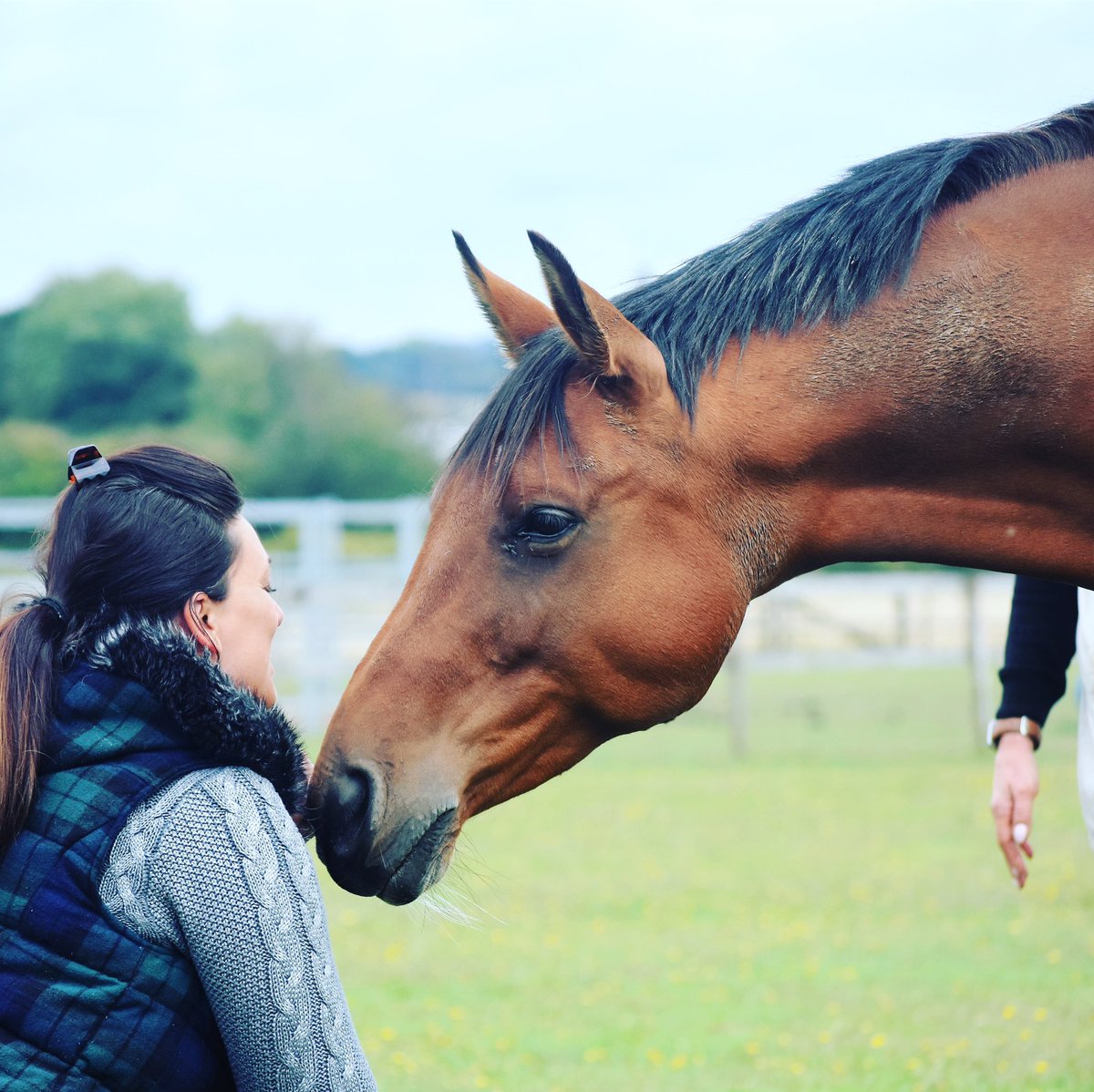 Follyfoothealing tweet media