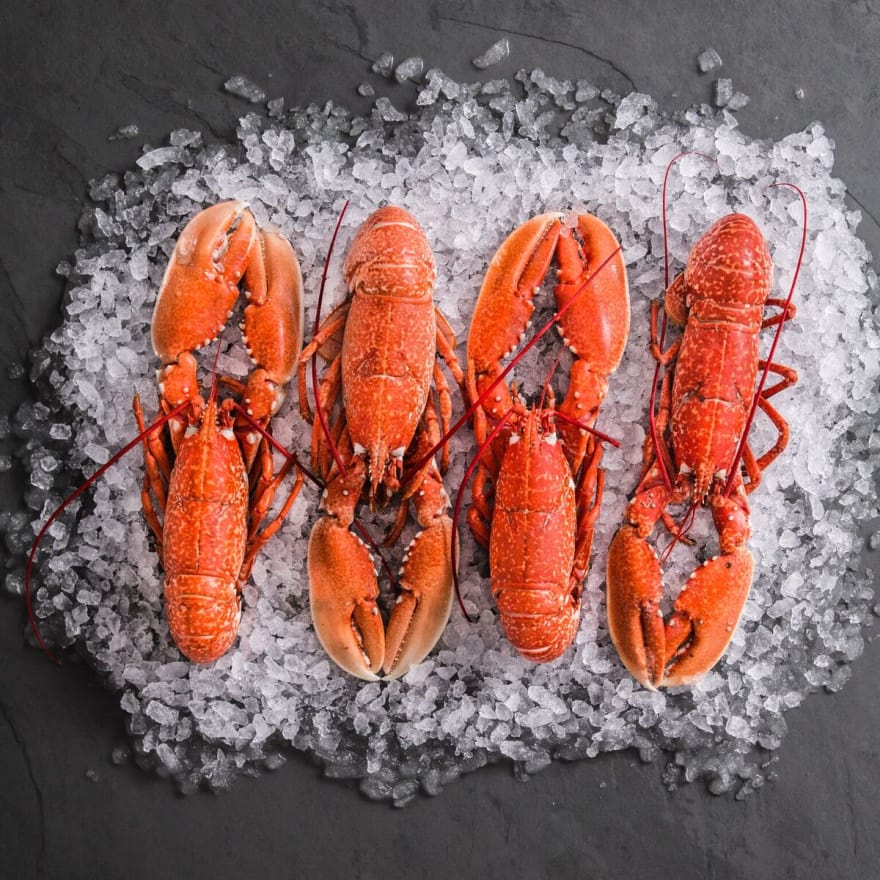 FishforThought1's tweet image. We are experiencing very high demand at the moment. We still have delivery slots available from the 14th May. Slots are filling up quickly though. Order soon to avoid disappointment. fishforthought.co.uk Nationwide FREE DELIVERY ON ALL ORDERS.